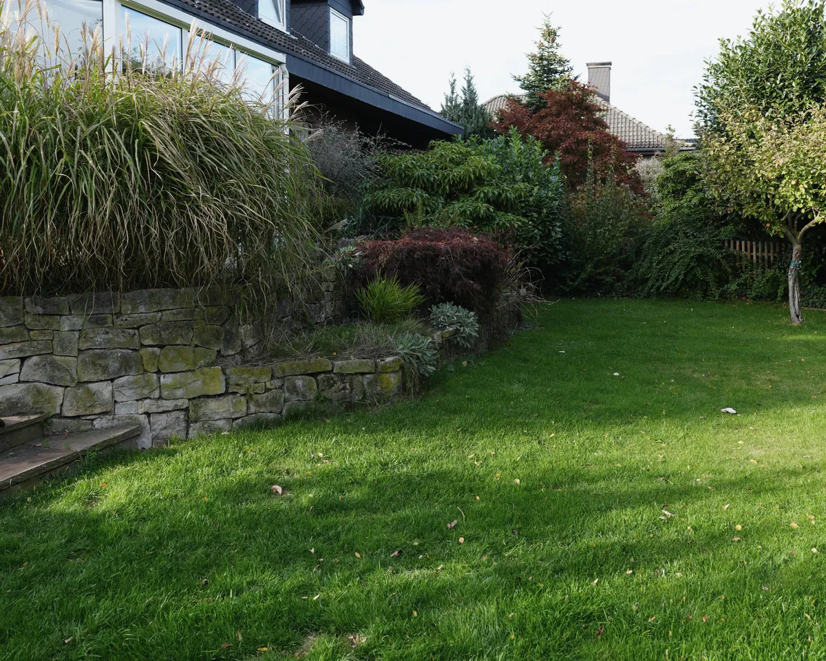 Trockenmauer im Garten, von hohem Gras und Wildwuchs überwachsen, vor der Pflege