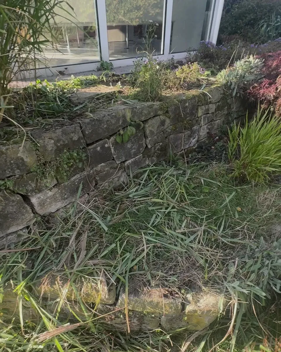 Untere Mauerstufe, komplett von Gras überwachsen, vor der Pflege